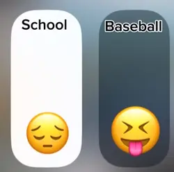 Baseball over school