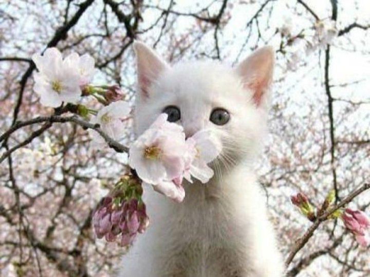 •E por falar em.. •