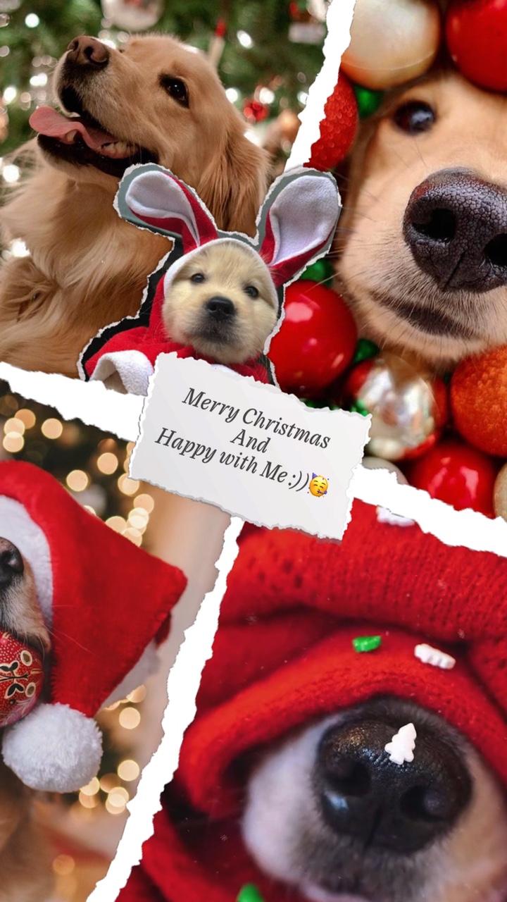 Papel de parede de natal 