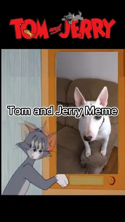 Tom and Jerry Meme