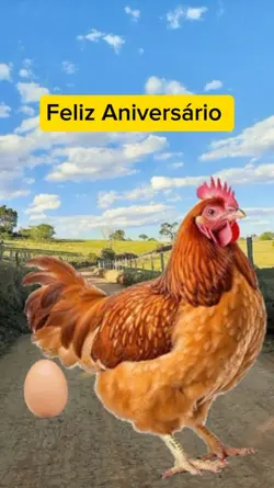 Feliz Aniversário 