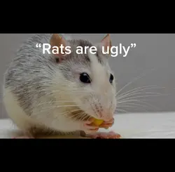 My rat bestie💕💕