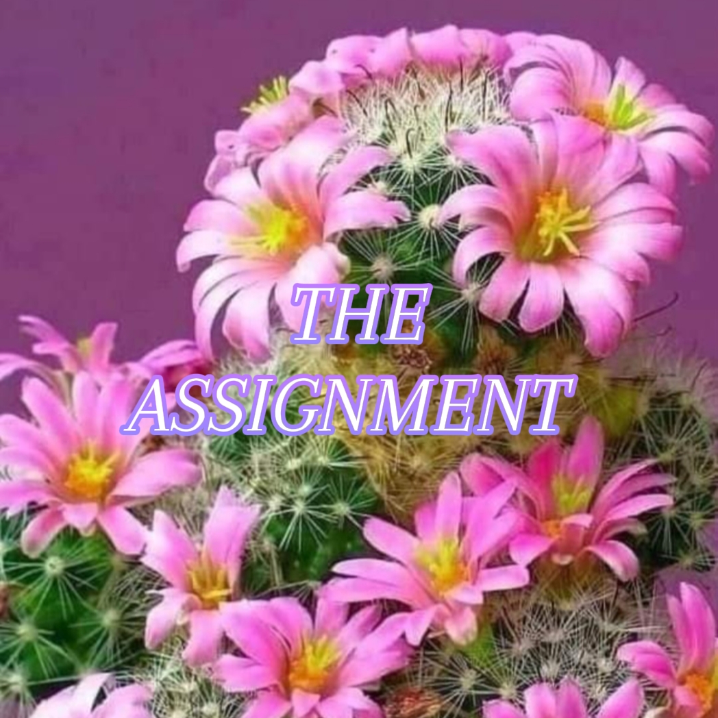 Cover Picture