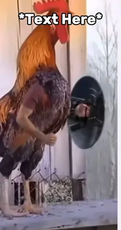 Marvel chicken meme 