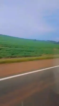 Lugar estranho
