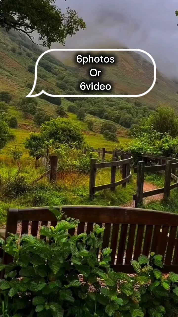 6 foto / 6 video