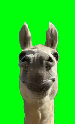 I'm looking at you 