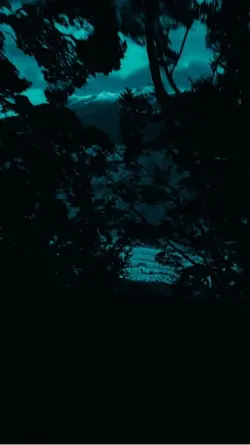 TEDDY SWIMS - LOSE C