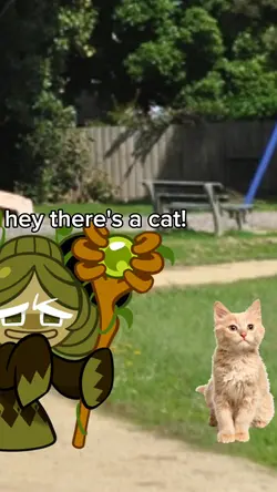 Cat meme