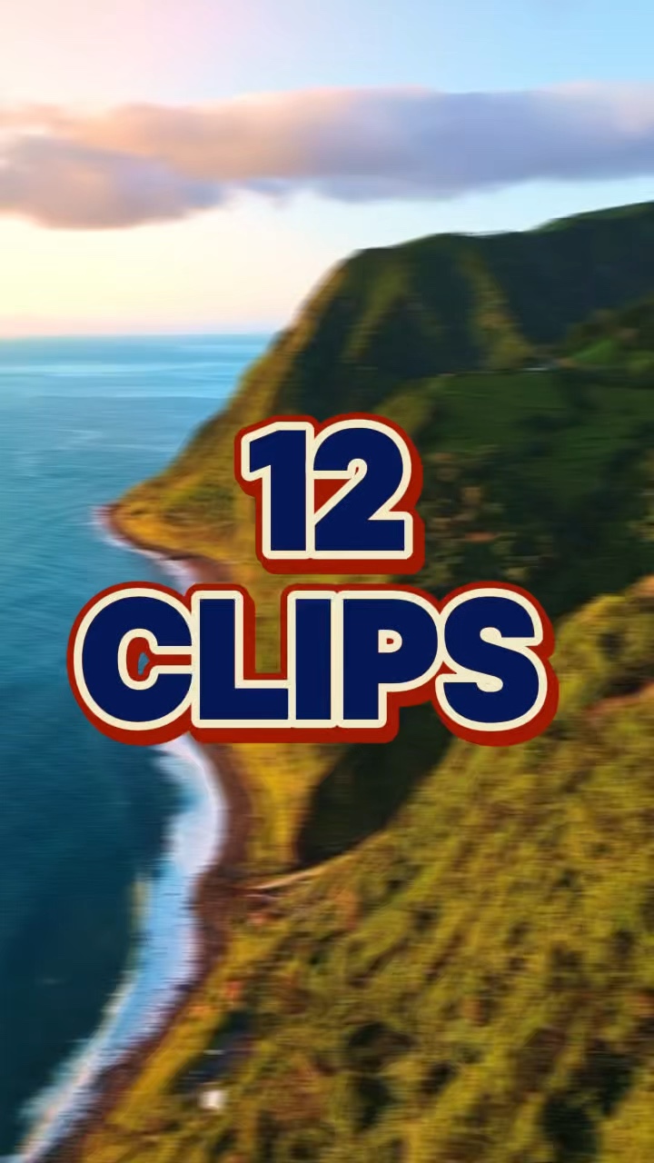 12 clips 