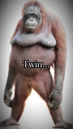 Monkey Twin