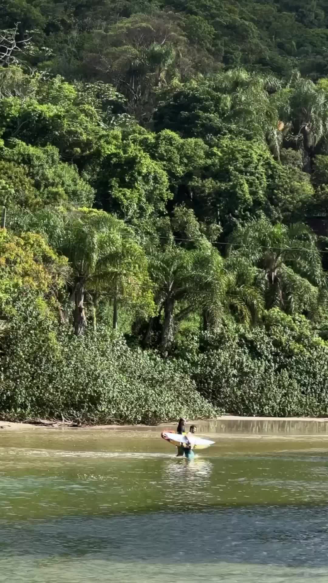 transition de la main 