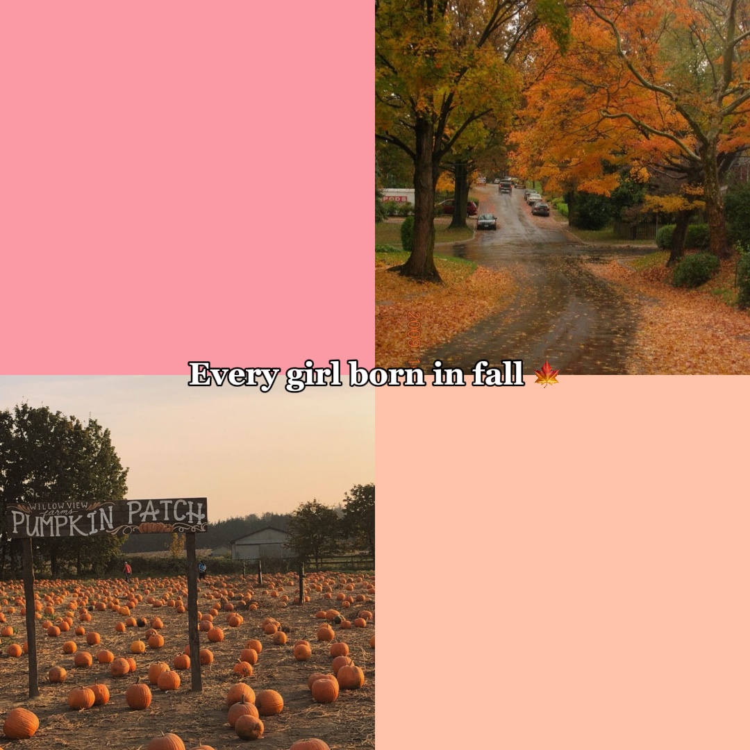 Sonbahar ve kış ❄️🍁