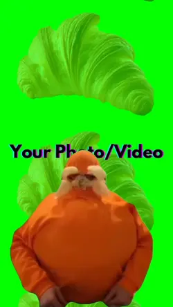 Lorax 😭💀