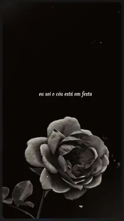 O CÉU ESTÁ EM FESTA
