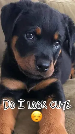 Cute Pictures ☺️