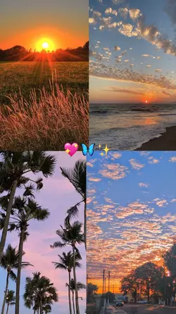 Natureza 