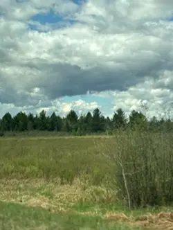 Do for you 🤷🏼‍♀️ 