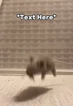 Jumping meme 