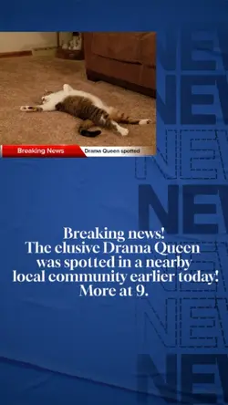Drama Queen News