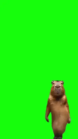 capivara dancing