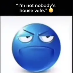 Nobody’s housewif