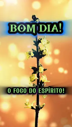 BOM DIA