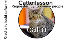 Catto lesson
