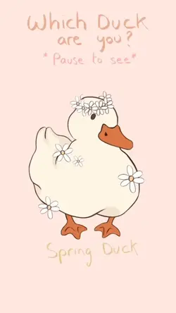 Duck template
