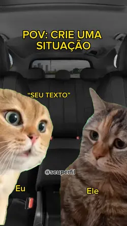 TREND DO GATO