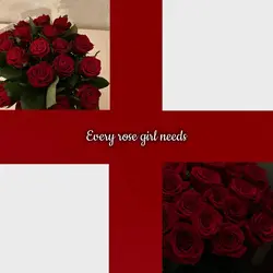 {🌹+🌷}Rose and Tulip