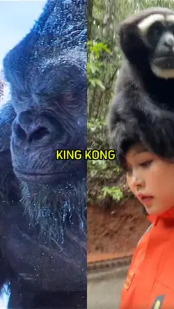 KING KONG