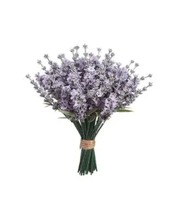 ＬＩＢＥＲＡＮＤＯ !!!