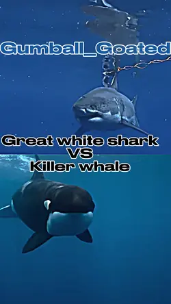 vs edit 1v1 template