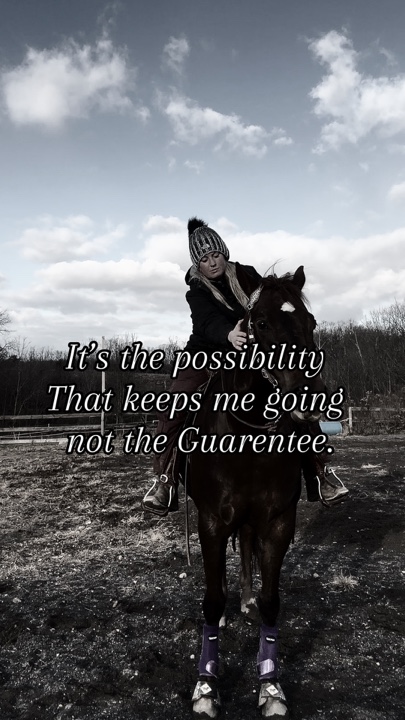 Pferd bearbeiten