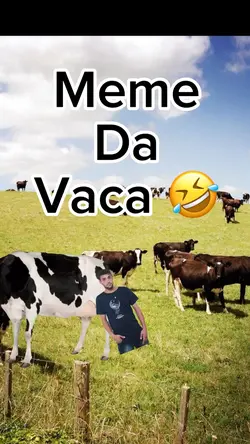 Vaca cagando meme 🤣