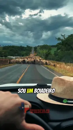 Sou um boiadeiro 