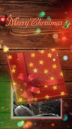 Christmas present