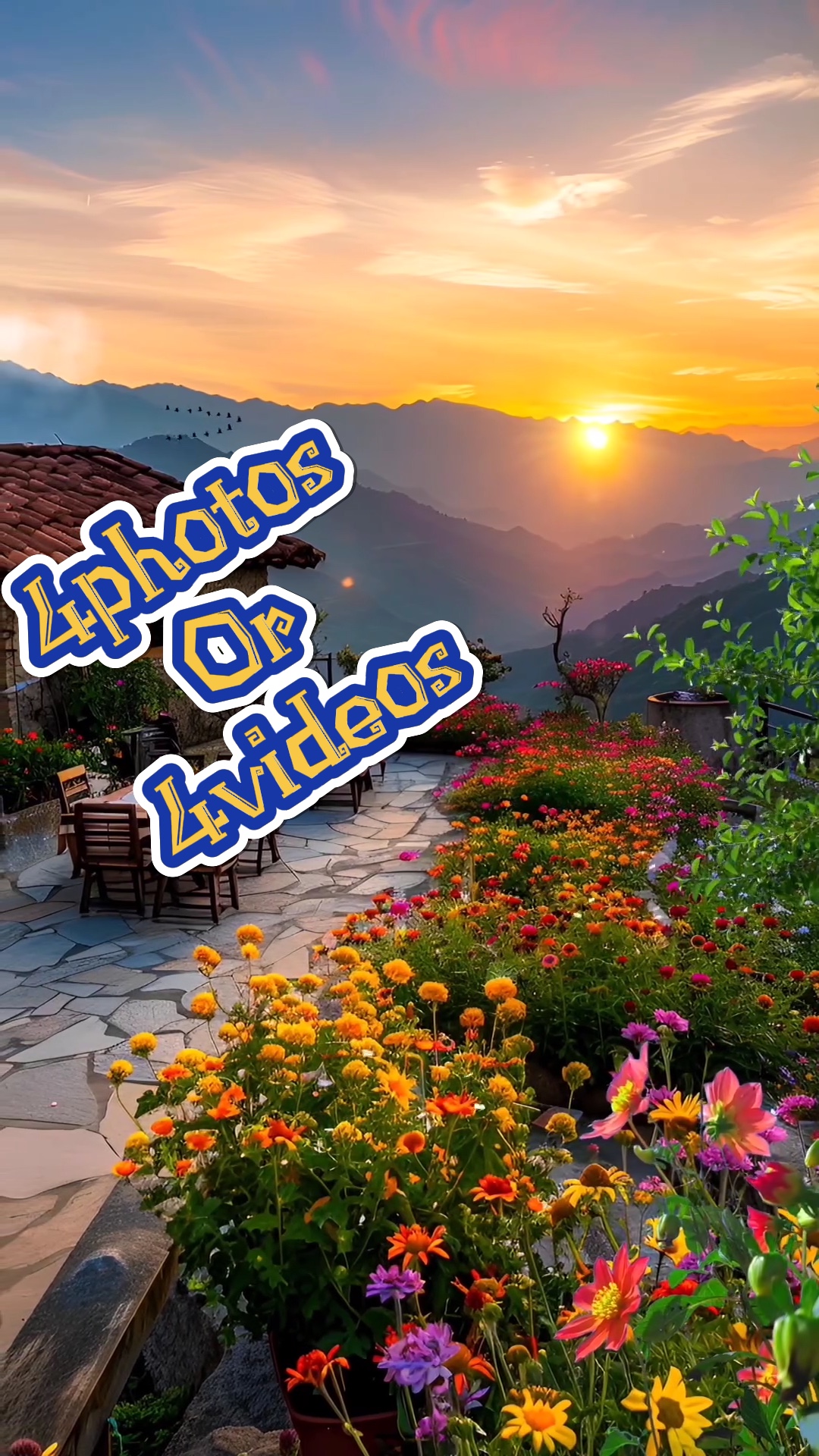 4photos / vidéos