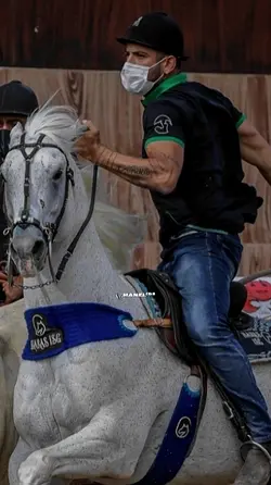 Cícero das vaqueijad