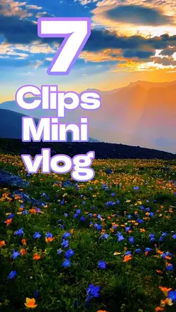 Mini vlog