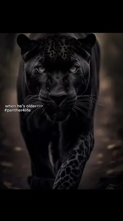 #PANTHER