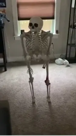 Skeleton falling mem