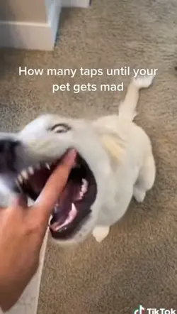 How many taps