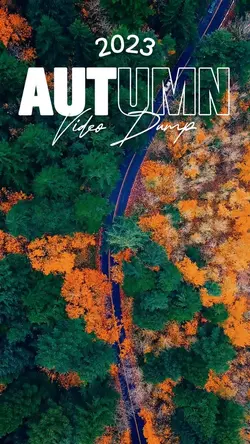 Autumn video dump