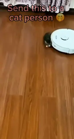Slurp Cat