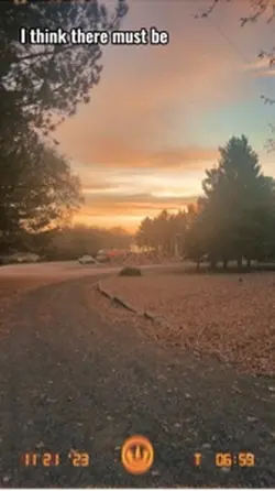 Valentine’s Day vent