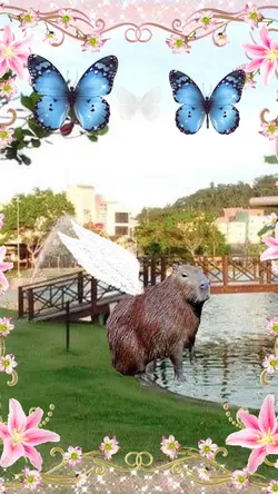 Bom dia capivara