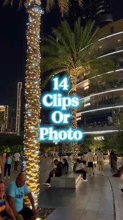 14 clips or photo 