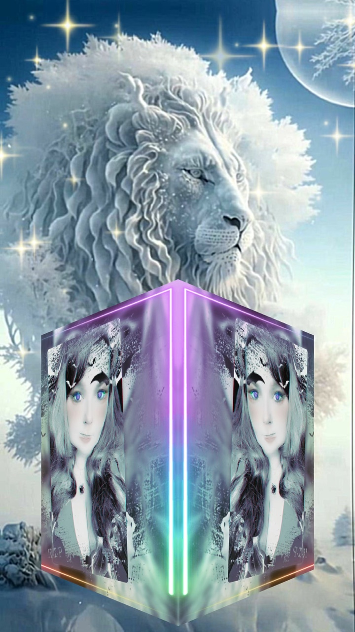 Cover Picture